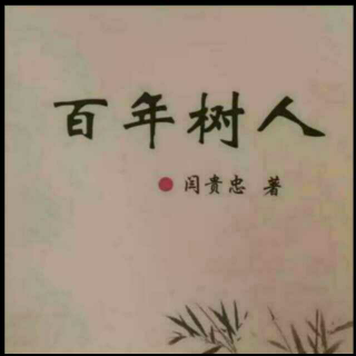 《百年树人》之别让爱你的人失望  声音：张丽笳