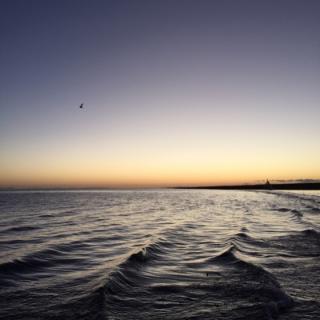 20161031 如果有来生 三毛