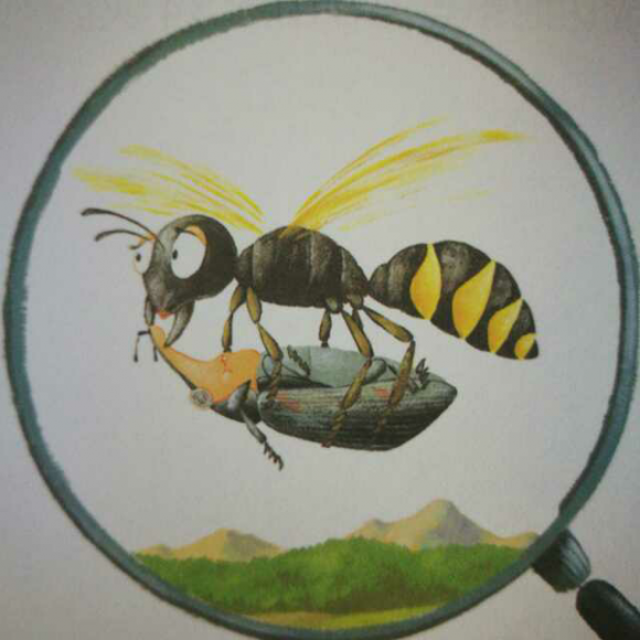 节腹泥蜂节选图片