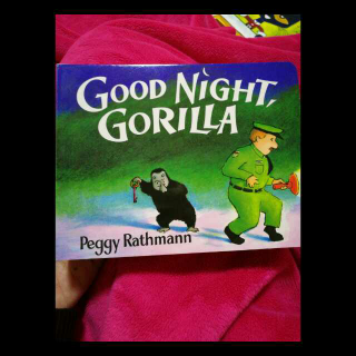 【Sherry亲子共读】Good Night Gorilla