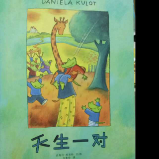 花婆婆绘本故事 27 鳄鱼爱上长颈鹿系列之《天生一对》