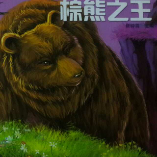 棕熊之王一🐻🐻🐻