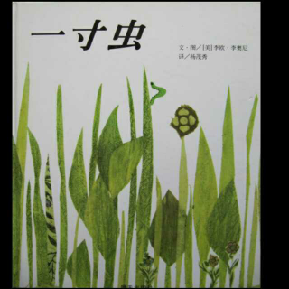 第103期《一寸虫》