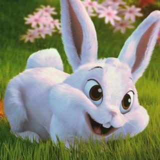 《小脚丫妈妈讲故事》024.我是完美的小兔子吗？