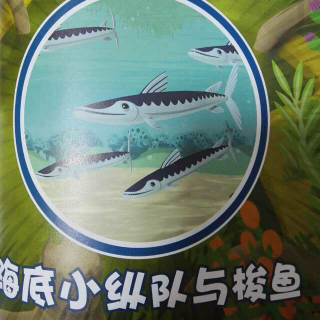 海底小纵队与梭鱼