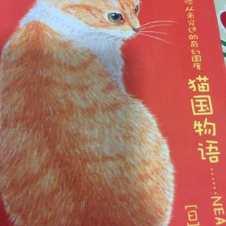 猫国物语---马波尔