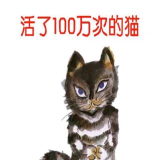 活了100万次的猫—141期