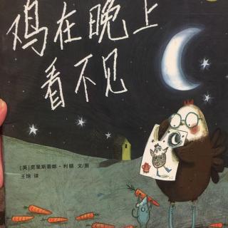 鸡在晚上看不见