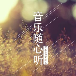 【音乐随心听】Vol.51-感动或欢乐—赵英俊NJ莱茵
