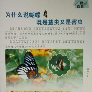 为什么说蝴蝶既是益虫又是害虫