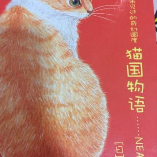 猫国物语---皮特