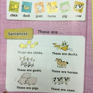 U3-Words&Sentences