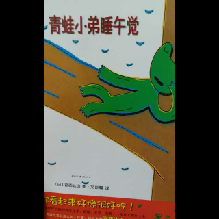 青蛙🐸小弟睡午觉