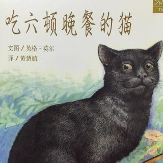 潇伊妈妈讲故事《吃了六顿晚餐的猫》