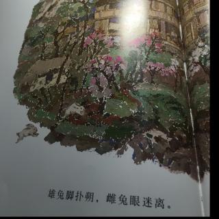 花木兰第一次