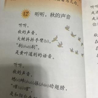 第十二课 听听，秋的声音