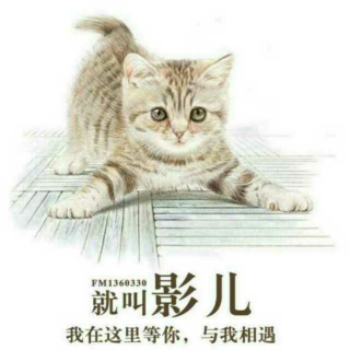 相亲|相的是能跟你结婚的人，而不是能爱你的人