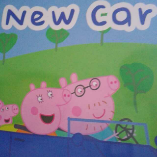 20161103 粉猪 11 the new car