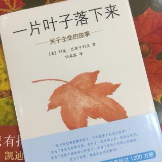 一片叶子落下来