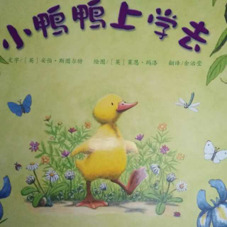 园长妈妈讲故事9《小鸭鸭上学去》