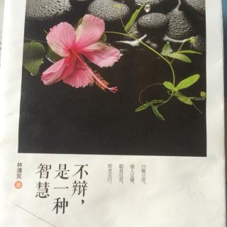 千两黄金的福报--林清玄《不辩，是一种智慧》