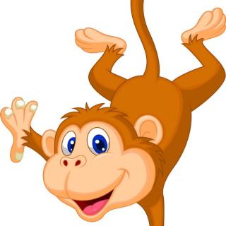 淘气的小猴子