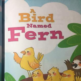 A bird named Fern