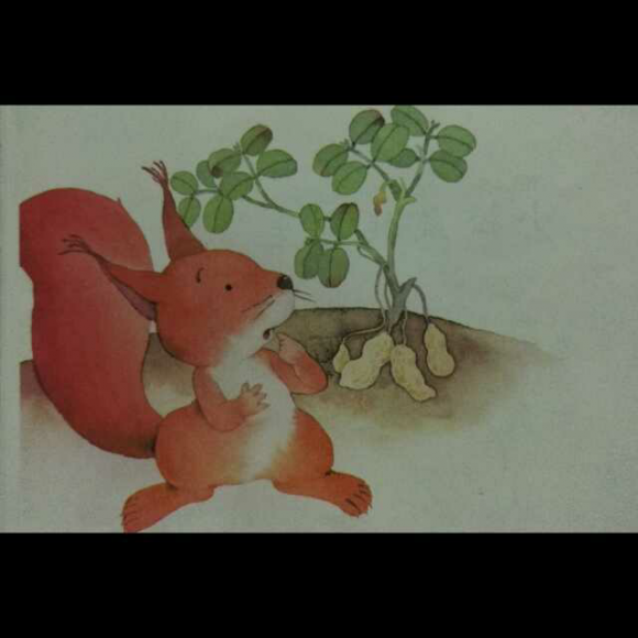 小松鼠找花生