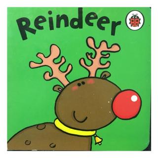 Reindeer（驯鹿感冒了 ˃̣̣̥᷄⌓˂̣̣̥᷅）