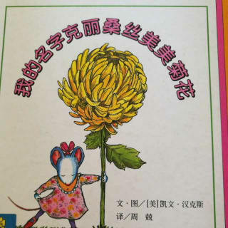 我的名字克丽桑丝美美菊花