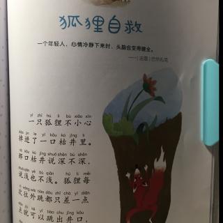 我能管理我自己—狐狸自救