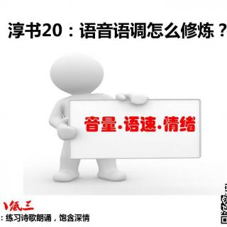 淳书20：语音语调怎么修？