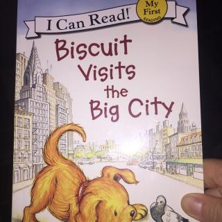 Buiscuit visits the big city