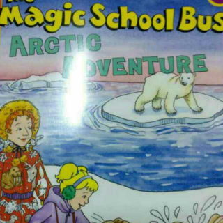 Arctic Adventure