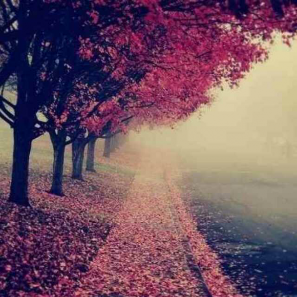 【疯爱一次就够了――吴淡如】在线收听_你是我的心灵城堡_荔枝fm