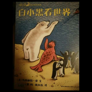 白小黑看世界