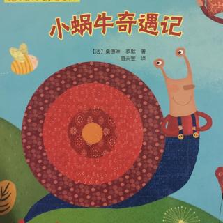 睡前故事:小蜗牛奇遇记
