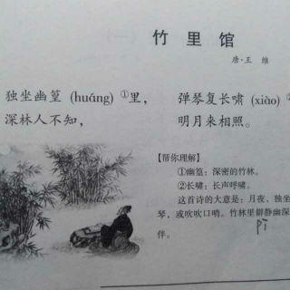 我爱古诗词《竹里馆》