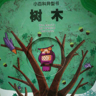 粤语百科《树木》