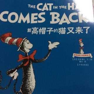 戴高帽子的猫又来了