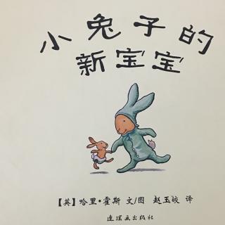 小兔子的新宝宝