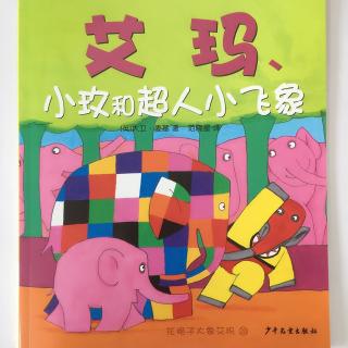 【20161107】20.艾玛、小玫和超人小飞象（花格子大象艾玛）
