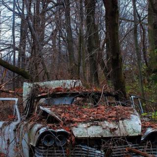 Mile 81-part 1 英文恐怖短篇