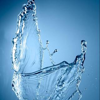 我们的身体需要多少水？