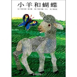 【绘本】小羊和蝴蝶