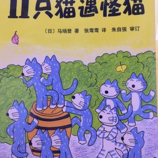 兔兔老师讲故事～11只猫遇怪猫