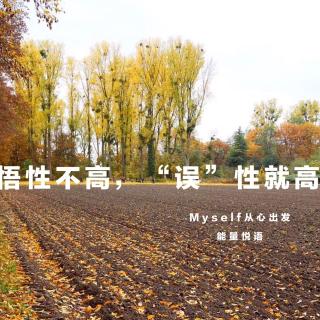 能量悦语20161109