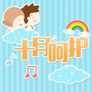 《十月呵护》每个孕妈都要经历的胎盘大冒险