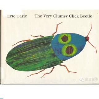 【Andy读绘本】The Very Clumsy Click Beetle