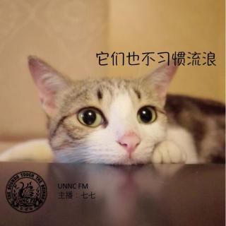 UNNC FM 《它们也不习惯流浪》-朱岭珺